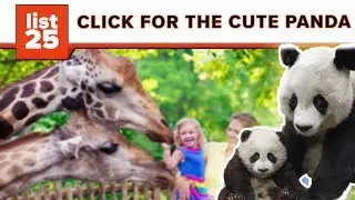25 Largest Zoos In The World You&rsquo;ll Want To Visit