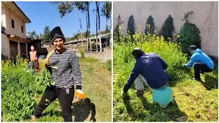 Farming Lessons In Himachal