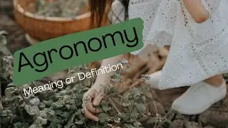 Agronomy - Geography Dictionary
