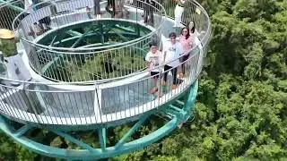 Floating in the Sky! Yanoda Glass Bridge Walk l Sanya, Hainan China Adventure #Yanodarainforest