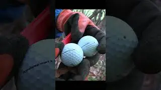 Эти новые ретриверы для гольф-мячей просто с ума сошли!