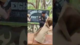 Commando training Tamilnadu Pallipattu - Closing ceremony