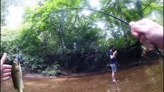This Tiny Rapala Jerkbait Dominates the Creek