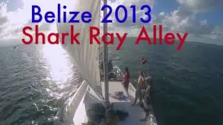 Unbelizable!
