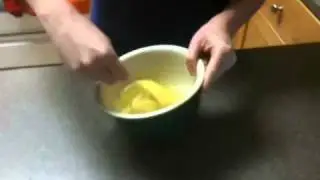 Bean sprout project