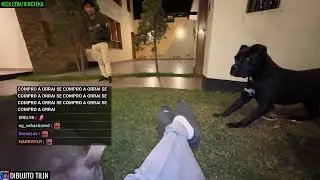 PERRITO ORRAI JR CONOCE SU NUEVA CASA CON KINGTEKA Y A SU NUEVA COMPA&Ntilde;ERA