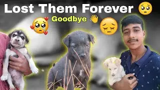 आता dog या जगात नाही राहिले 🥺😔// Goodbye 👋//#marathivlog #sad 