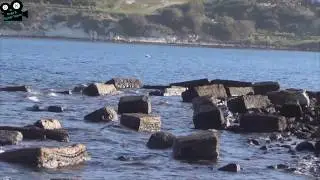 Güzelhisar Çayı Deltasının Paleocoğrafyası - Dr. Serdar Vardar