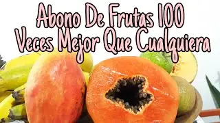 COMO HACER ABONO ORGÁNICO CASERO PARA PLANTAS FRUTAS