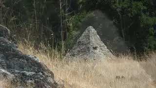 Strange things go on in the Oakland hills
