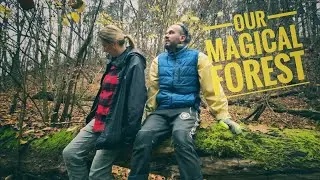 ONE DAY EXPEDITION IN OUR FOREST // Seagull House Off-Grid Project //2022