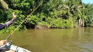 PESCANDO DE RODADA.