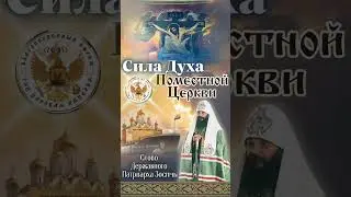 Сила Духа Поместной Церкви. #Orthodoxy#jesus #christian #life #religios 