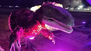 We went to the Luminocity in Gaithersburg, the entire area was full of different colored items 