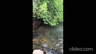 Sober Island trip