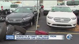 Woodhaven car dealership hit by vandals in storage lot