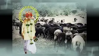 balumama vaidd mendhya kelya paidd song