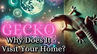 The SPIRITUAL SECRET Behind GECKOS in Your HOME &ndash; Don&rsquo;t Ignore These Signs! | Spiritual Awakening ✨