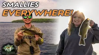 Small Mouth Bass Everywhere! | Small Mouth Fishing Lac Courte Oreilles |