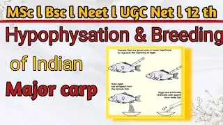 Hypophyasation and breeding of Indian major carp in hindi notes / #hypophyasation #carp #msc#mscnote