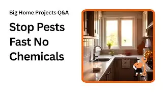 How to Keep Your Aussie Home Pest Free Without Chemicals