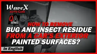 How to Remove Bug and Insect Residue from Car Paint Safely | QnA Series