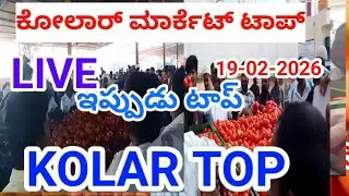 19-02-2026#KOLAR MARKET TOMATO PRICE 