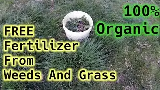 How To Make FREE Liquid Fertiliser/Fertilizer From Weeds And Grass (A Complete Step by Step Guide)