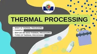 Thermal Processing