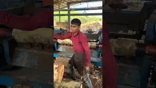 Wood debarking working big machine part 118#woodworking #wood #shorts #wooding