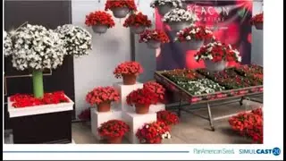 PanAmerican Seed & Kieft Seed - SimulCAST20