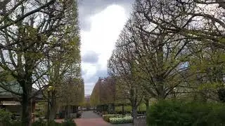 Dwarf Conifer Garden Entrance, Rose Terrace Beer Garden View, Chicago Botanic Gardens, April 2023