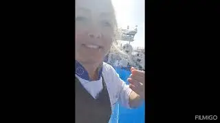 Moby Orli 2023 Corsica
