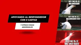Apoyando el Mayor del respondedor con 3 cartas