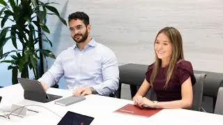 The Analyst Experience