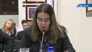 Audiencia Pública (Parte 2) - Caso Ramírez Escobar y otros Vs. Guatemala