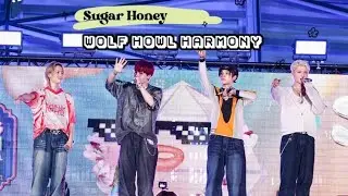 [FANCAM] 240415 WOLF HOWL HARMONY - Sugar Honey #SUPERFLUID2024