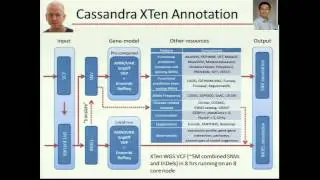 Leveraging whole genome annotation for genotype-phenotype association studies - Eric Boerwinkle