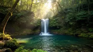 Peaceful Waterfall Sounds at Night | Natural Sleep Therapy