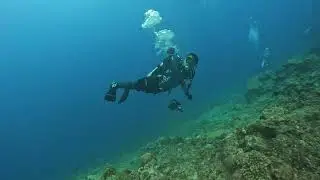 Shark dive point before shark dive at Fiji full size 2024.09 Beqa Adventure Divers