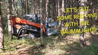 BAUMALIGHT FGS952 HOTSAW CUTTING RED PINE