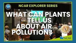 What Can Plants Tell Us About Air Pollution?