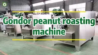 🔥 High-Efficiency Commercial Peanut Roasting Machine for Food Plants and Snack Lines #nutprocessing