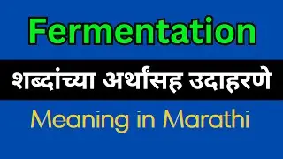 Fermentation Meaning In Marathi/ Fermentation explained in Marathi
