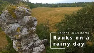 Rauks on a rainy day - Lickershamn Gotland