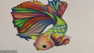 Drawing beautiful multi-color fish using color pencils