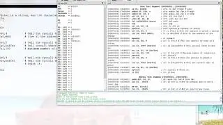 QTSPIM ReadPrint Strings Characters