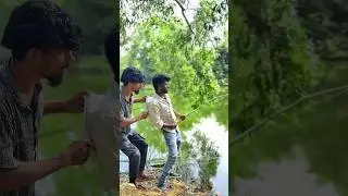 🐊🫣Search Big monster 🐠 | catching moster fish | balasvoyage