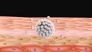 Molecule Animation Final