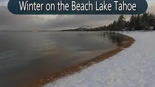 Lake Tahoe | Scenic Lakeside Beach Trek  Calming Moments in Winter